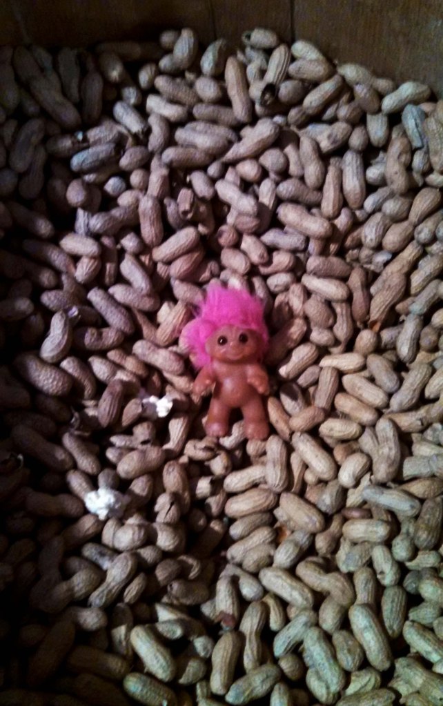 IMG_20150517_183302_831