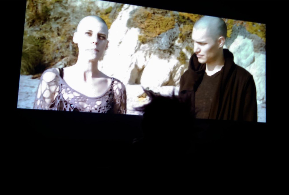 IMG_20150805_223319_213